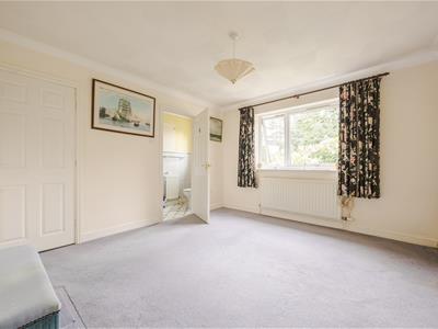Picture 13